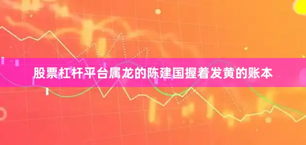 股票杠杆平台属龙的陈建国握着发黄的账本