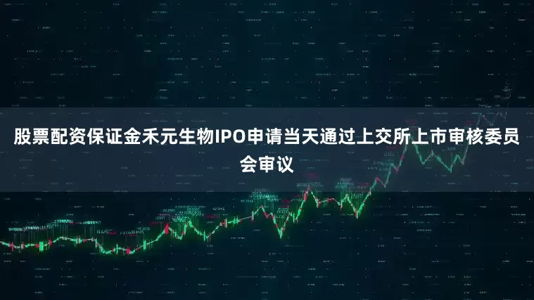 股票配资保证金禾元生物IPO申请当天通过上交所上市审核委员会审议