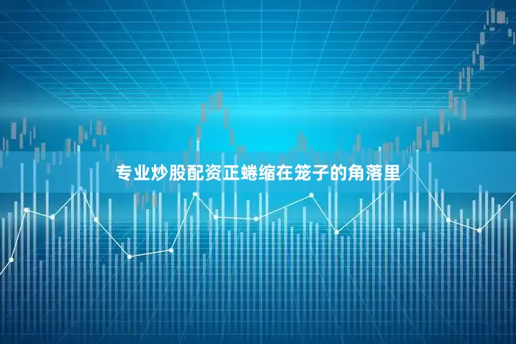 专业炒股配资正蜷缩在笼子的角落里