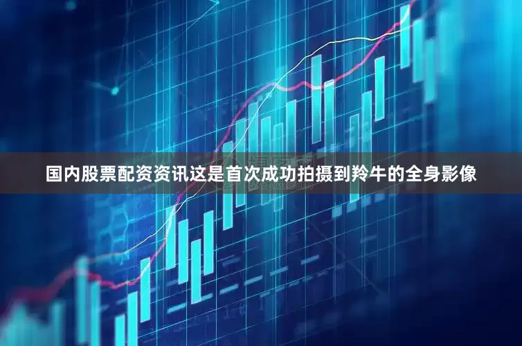 国内股票配资资讯这是首次成功拍摄到羚牛的全身影像