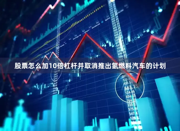 股票怎么加10倍杠杆并取消推出氢燃料汽车的计划