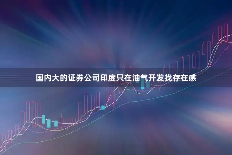 国内大的证券公司印度只在油气开发找存在感